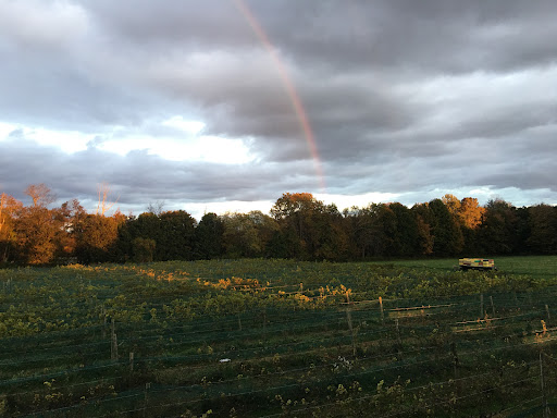 Vineyard «Haight Vineyard», reviews and photos, 29 Chestnut Hill Rd, Litchfield, CT 06759, USA