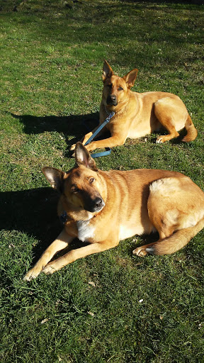 Pet Supply Store «Pet Supplies Plus», reviews and photos, 2424 W State St, Alliance, OH 44601, USA