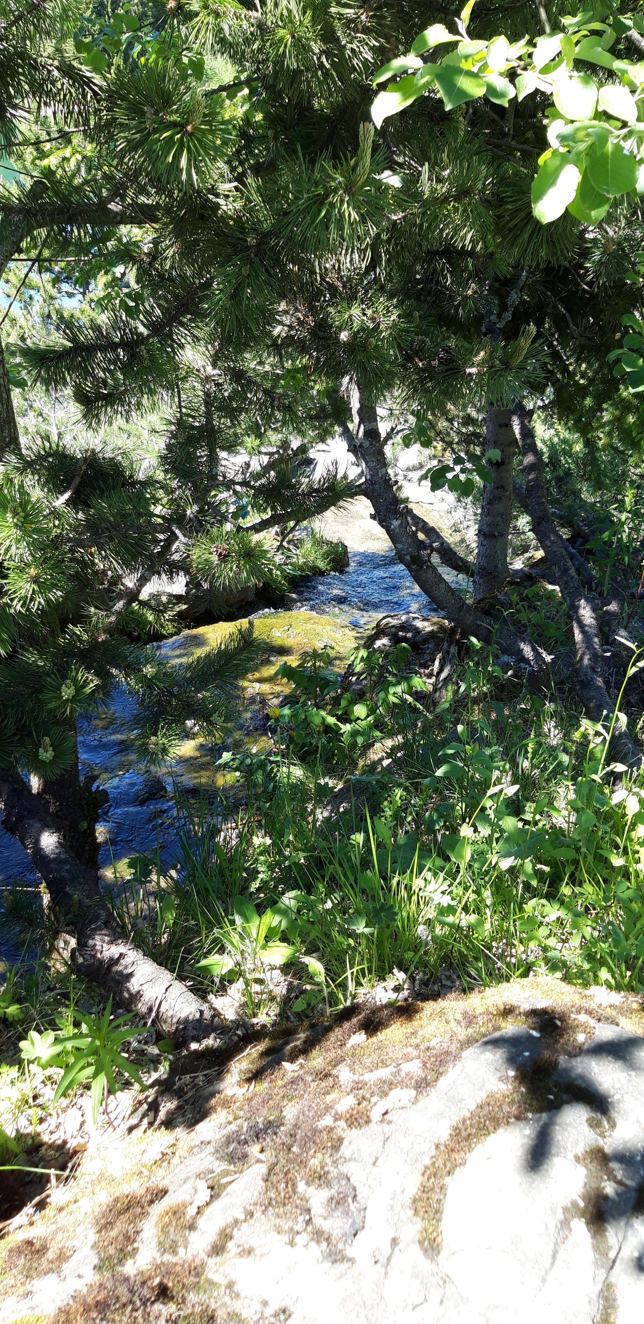 Photo n° 8 de l'avis de Philippe.u fait le 09/06/2019 à 12:24