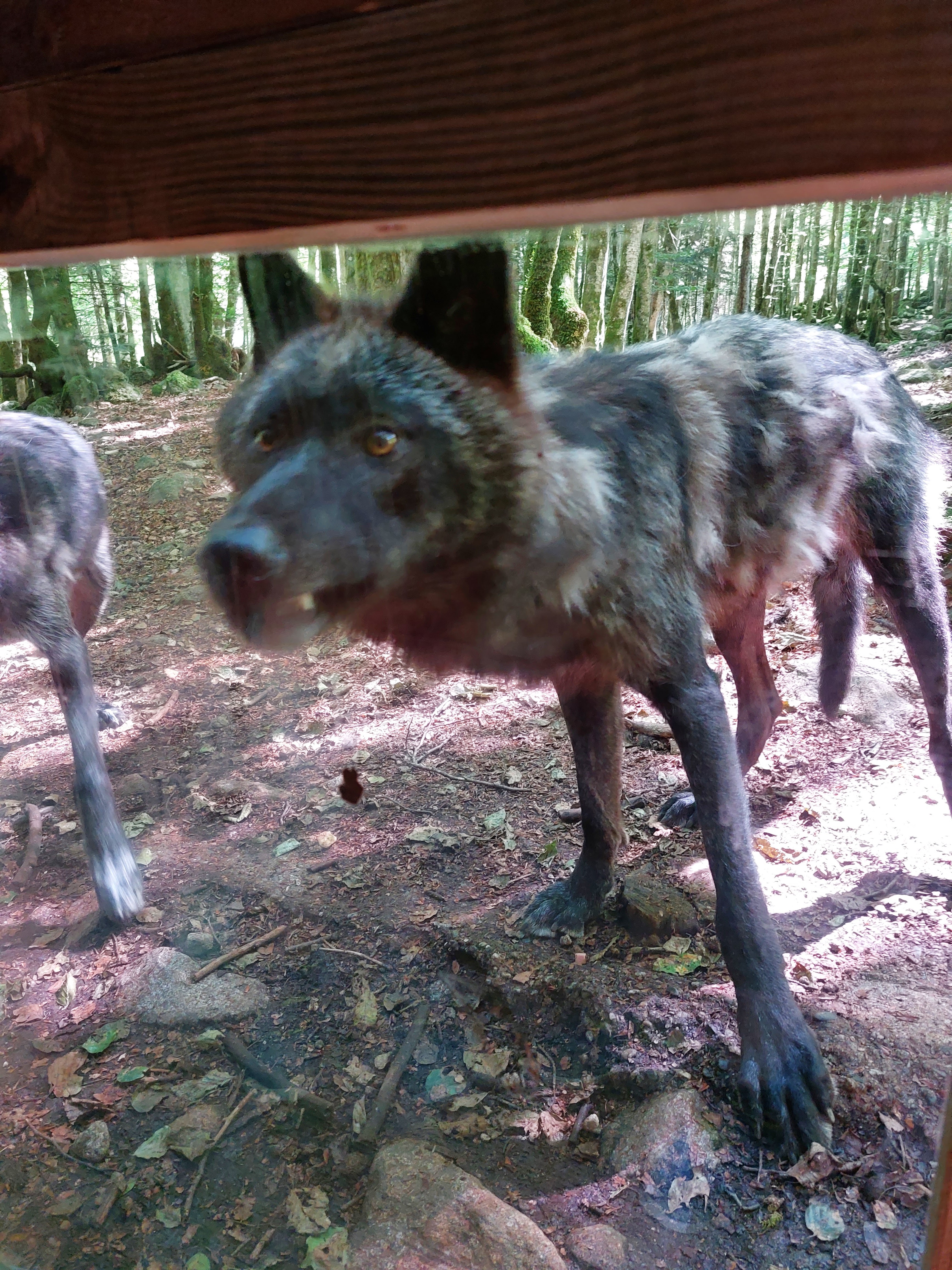 Photo n° 1 de l'avis de Fred. fait le 25/06/2023 à 20:35