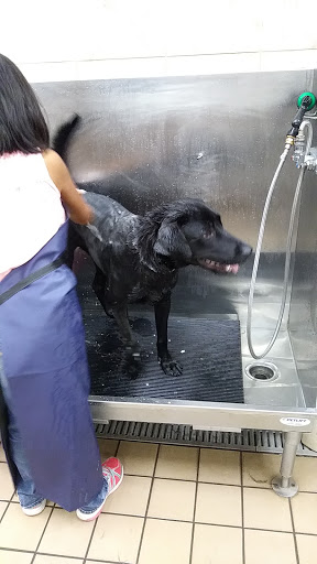 Pet Supply Store «Pet Supplies Plus», reviews and photos, 4524 Heritage Trace Pkwy, Fort Worth, TX 76244, USA