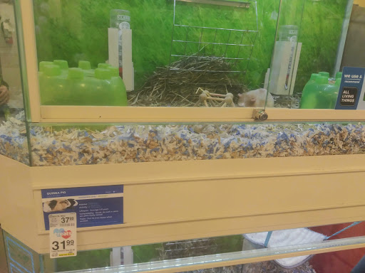 Pet Supply Store «PetSmart», reviews and photos, 1116 S Rochester Rd, Rochester Hills, MI 48307, USA