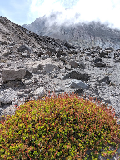 Monument «Mount St. Helens National Volcanic Monument Headquarters», reviews and photos, 42218 NE Yale Bridge Rd, Amboy, WA 98601, USA