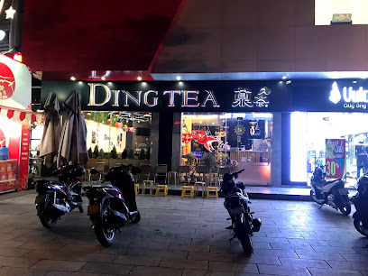 Dingtea Quang Binh