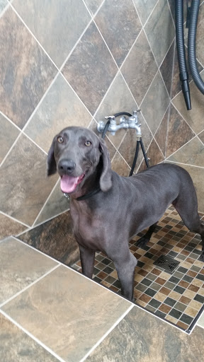 Pet Supply Store «Pet Valu», reviews and photos, 200 Biggs Blvd, Harrison, OH 45030, USA