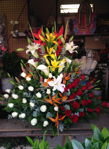 Floreria Mary florería en  en la zona Calle Benito Juarez