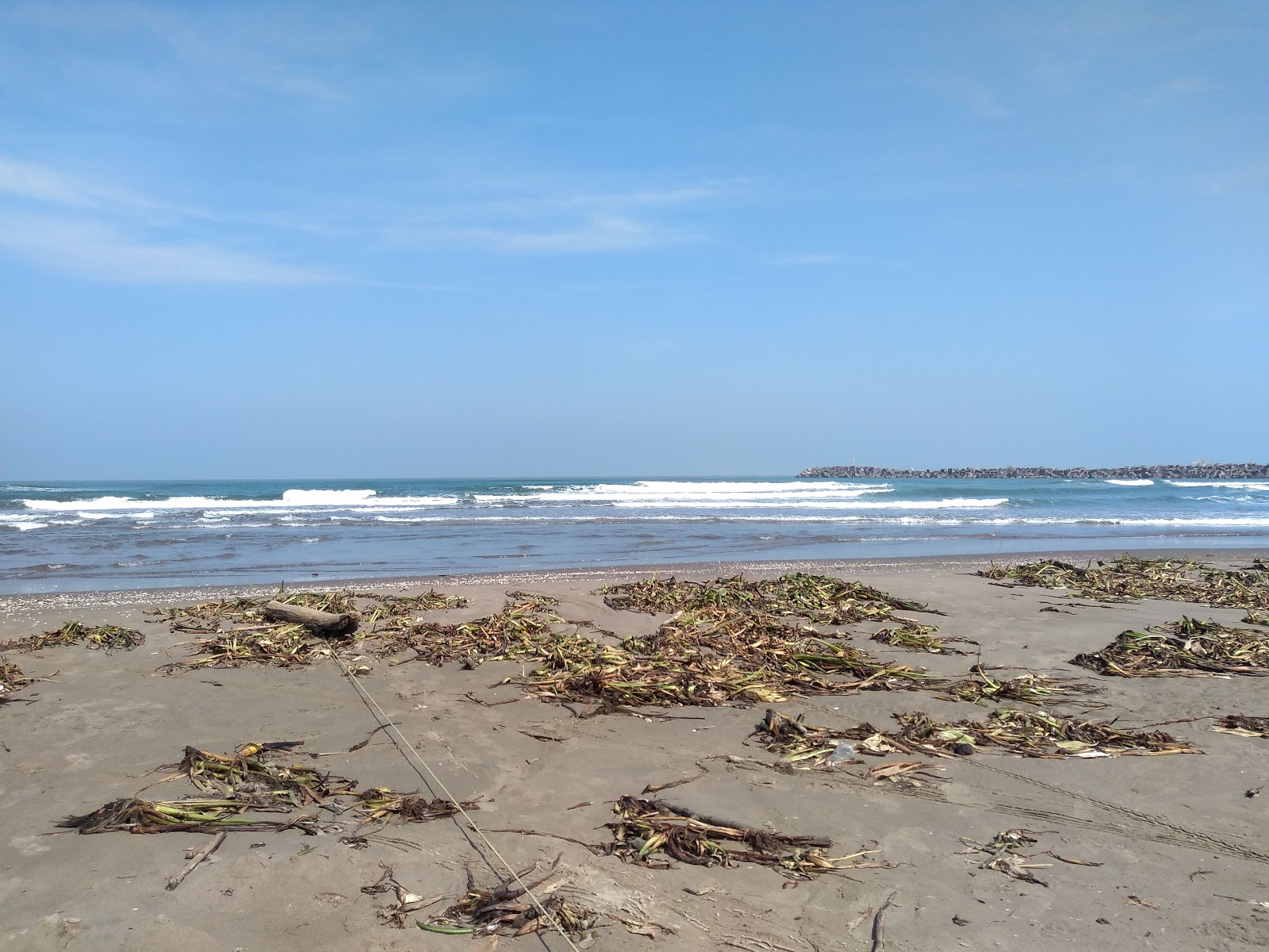 Foto von Playa de Alvarado mit blaues wasser Oberfläche