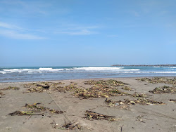 Playa de Alvarado'in fotoğrafı düz ve uzun ile birlikte