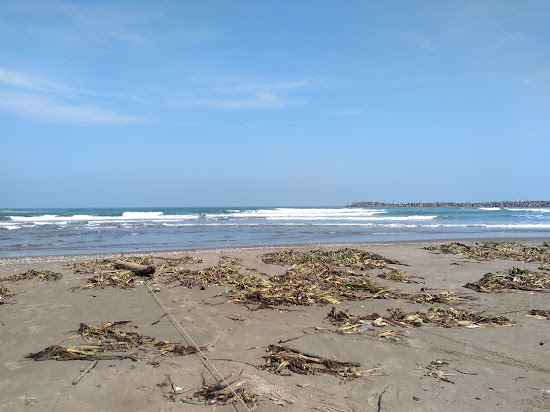 Playa de Alvarado