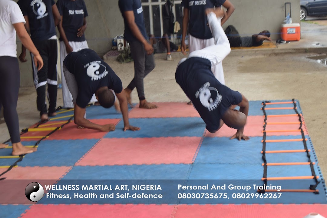 Wellness Martial Art Academy