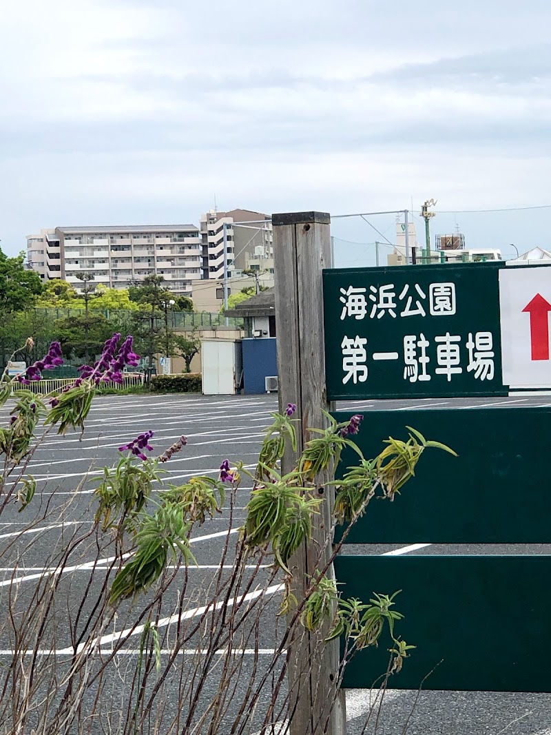 須磨海浜公園第1駐車場 兵庫県神戸市須磨区若宮町 駐車場 グルコミ