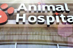 Finan Animal Hospital image