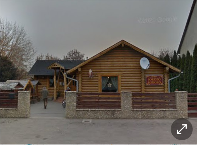 Opinii despre Szőlőskert Borozó Söröző în Göd - Kocsma