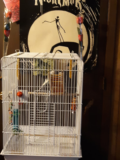 Pet Supply Store «PetSmart», reviews and photos, 5801 Belleville Crossing St, Belleville, IL 62226, USA