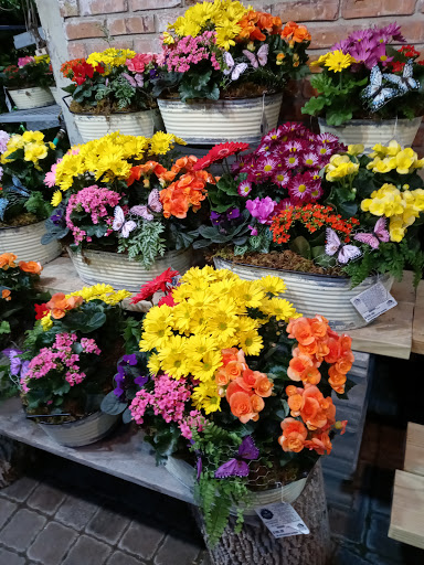 Florist «Viviano Flower Shop», reviews and photos, 32050 Harper Ave, St Clair Shores, MI 48082, USA