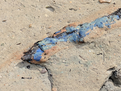 Nature Preserve «Cincinnati Nature Center», reviews and photos, 4949 Tealtown Rd, Milford, OH 45150, USA