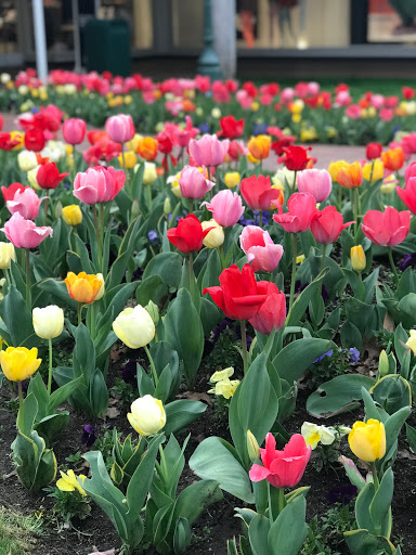 Shopping Mall «Utica Square», reviews and photos, 1709 Utica Square, Tulsa, OK 74114, USA