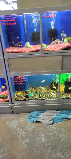 Pet Store «Southside Aquatics», reviews and photos, 2039 Pleasanton Rd, San Antonio, TX 78221, USA