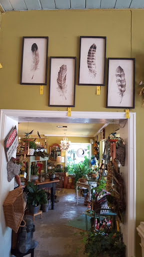 Potting Shed, 4127 S MacDill Ave, Tampa, FL 33611, USA, 