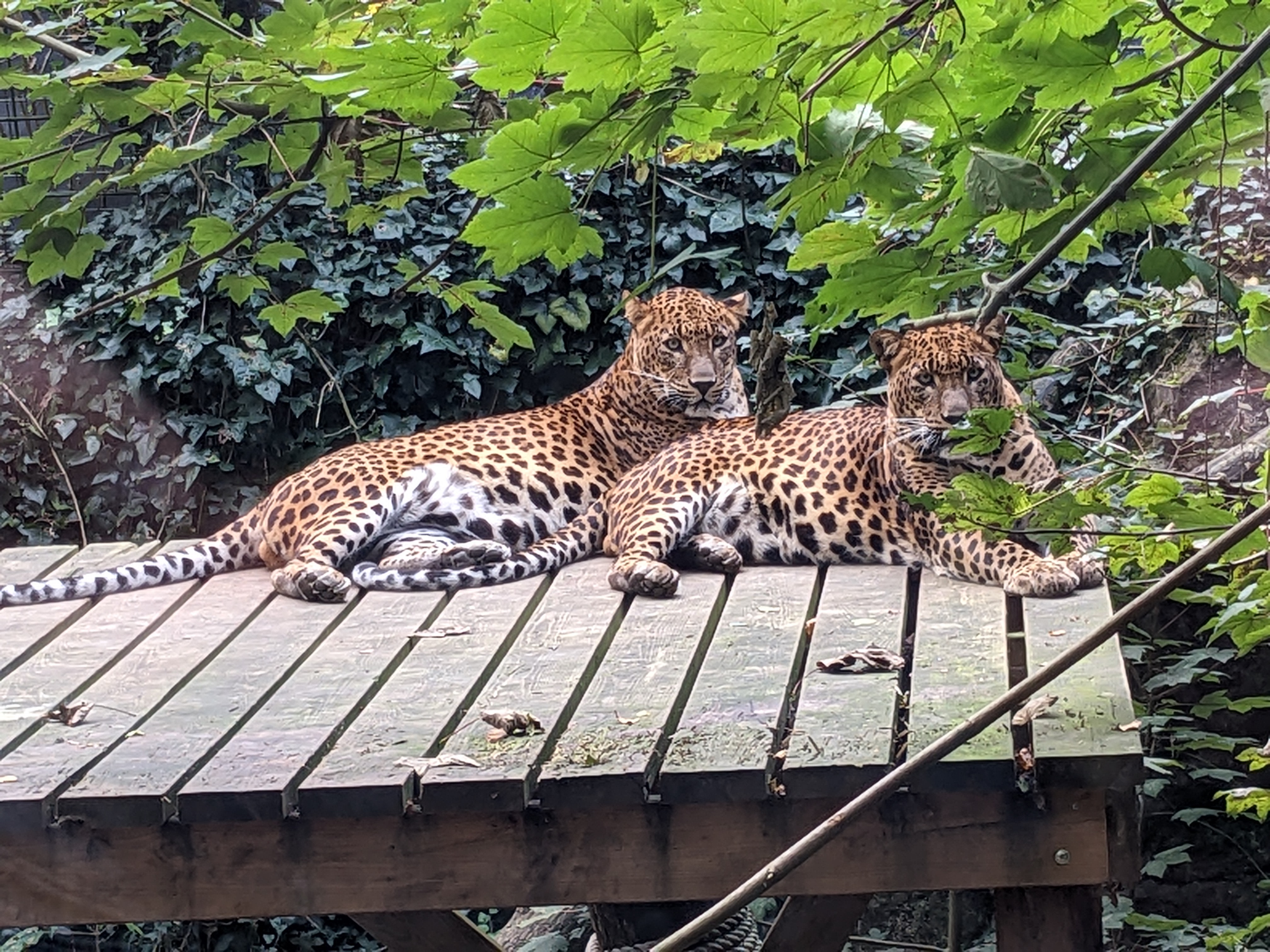 Photo n° 2 de l'avis de Ingo. fait le 01/10/2023 à 16:53