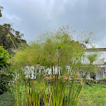 Photo n°2 de l'avis de Gabriel.a fait le 05/09/2021 à 15:35 sur le  Casa de Pasto - o Amaral à Porto Formoso