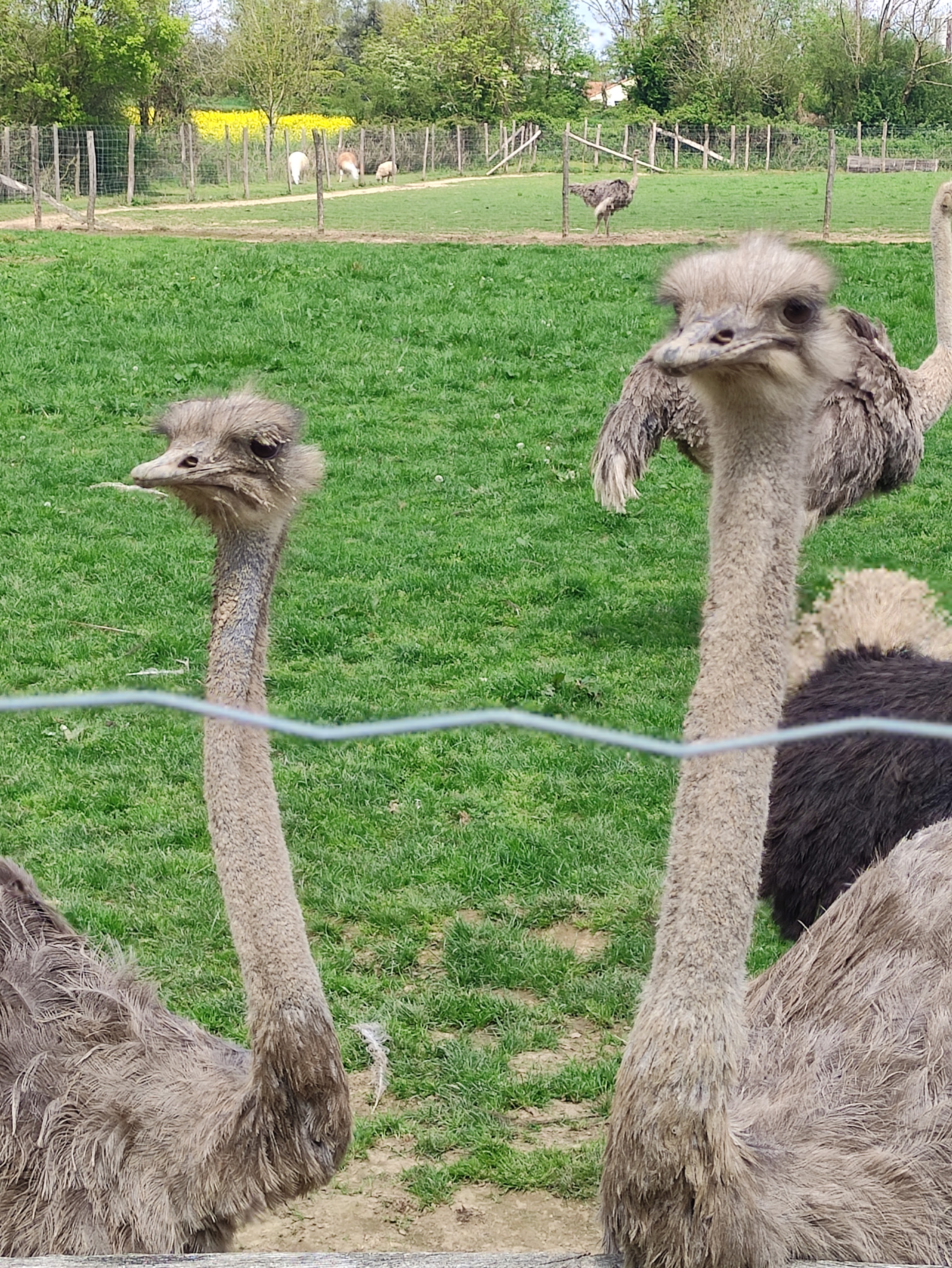 Photo n° 1 de l'avis de JOSNIERES.e fait le 30/04/2023 à 14:51