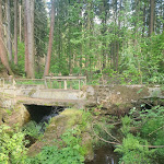 Photo n°20 de l'avis de Reinhard.c fait le 21/05/2023 à 05:03 sur le  Hotel & Restaurant Rodebachmühle à Georgenthal