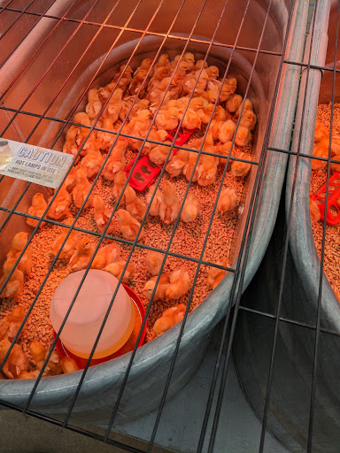 Animal Feed Store «Wilco Farm Store», reviews and photos, 2741 OR-99W, McMinnville, OR 97128, USA