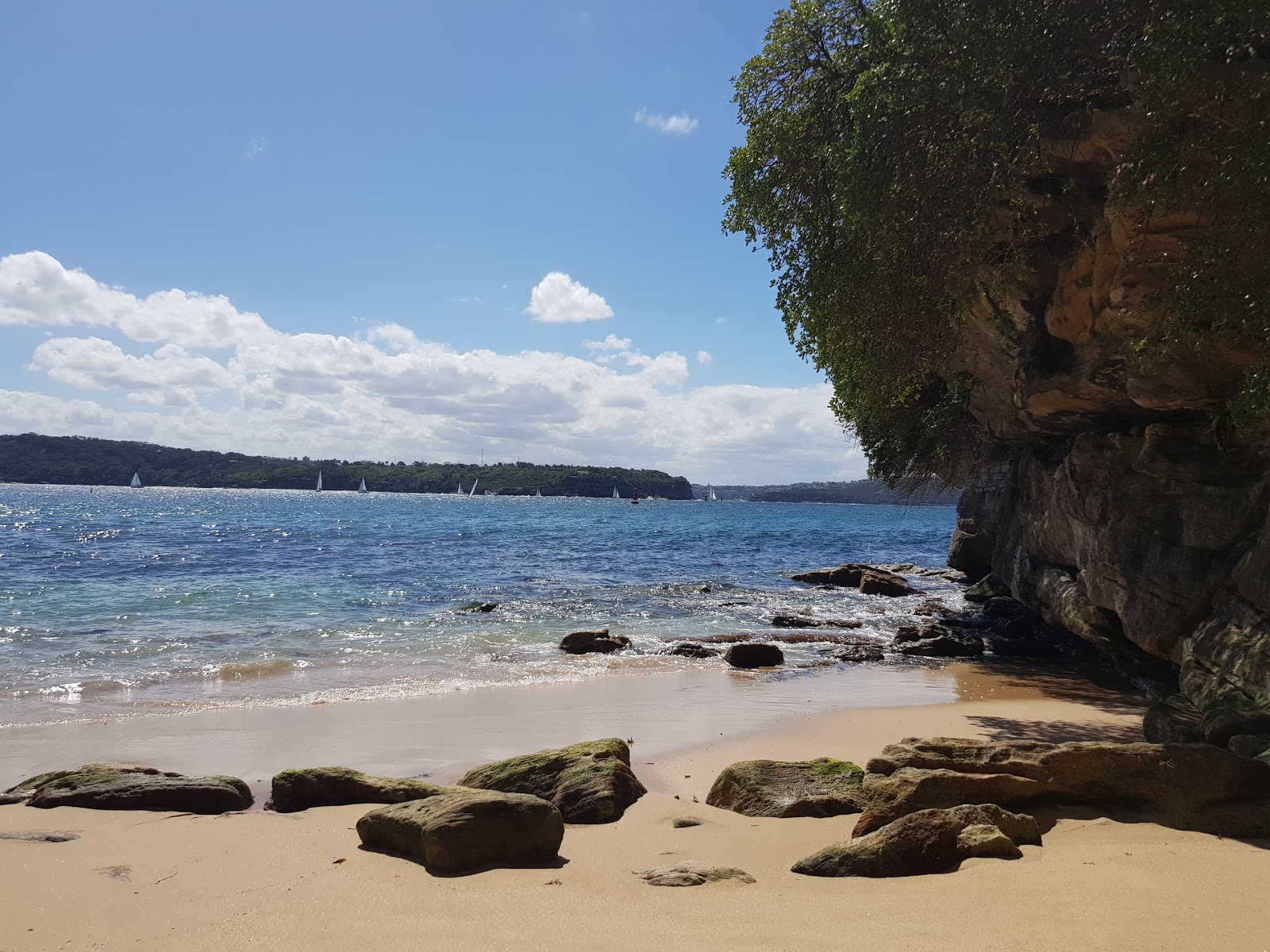 Foto von Lady Bay Beach wilde gegend