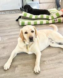 Pawfect Petsitting and Petcare - Photo 6 - Car repair in Hubert, NC, Jacksonville