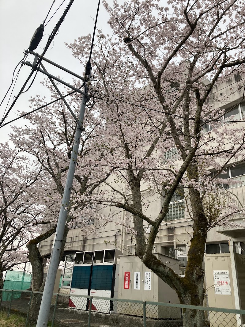 山元町立山下第一小学校