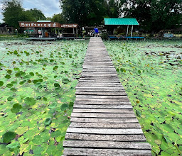 ร้านนาบัวนาบุญ photo