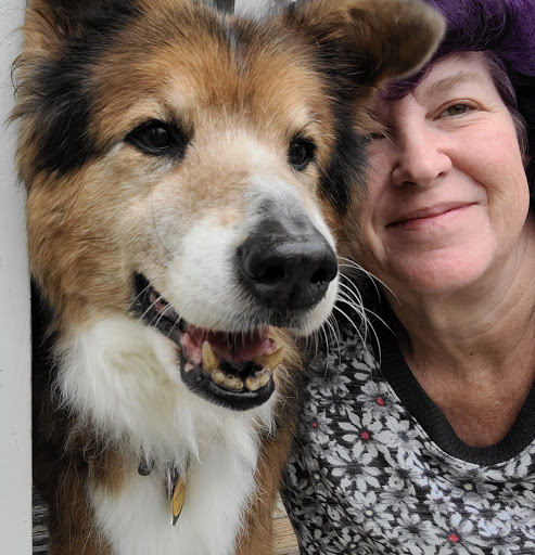 Pet Supply Store «Petco Animal Supplies», reviews and photos, 1350 S Ironton St #120, Aurora, CO 80012, USA