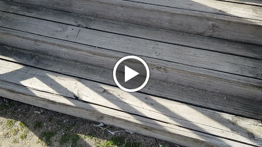 Nature Preserve «Captain Daniel Wright Woods Forest Preserve», reviews and photos, 24830 N St Marys Rd, Mettawa, IL 60045, USA