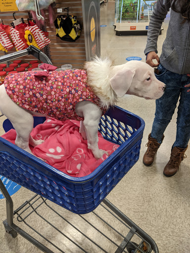 Pet Supply Store «PetSmart», reviews and photos, 734 E Big Beaver Rd, Troy, MI 48083, USA