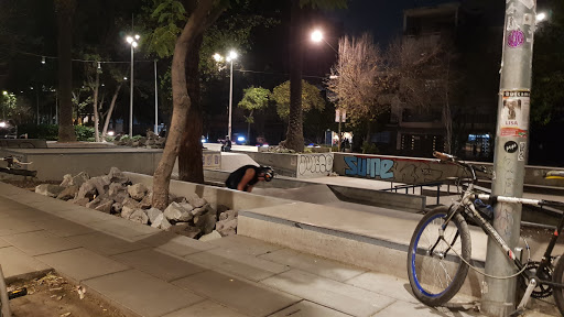 Skatepark Jardín del arte