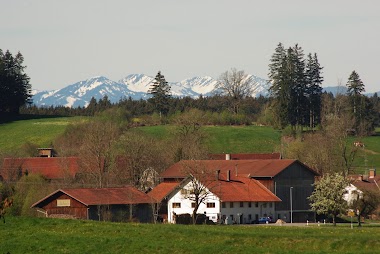 Baumsicht