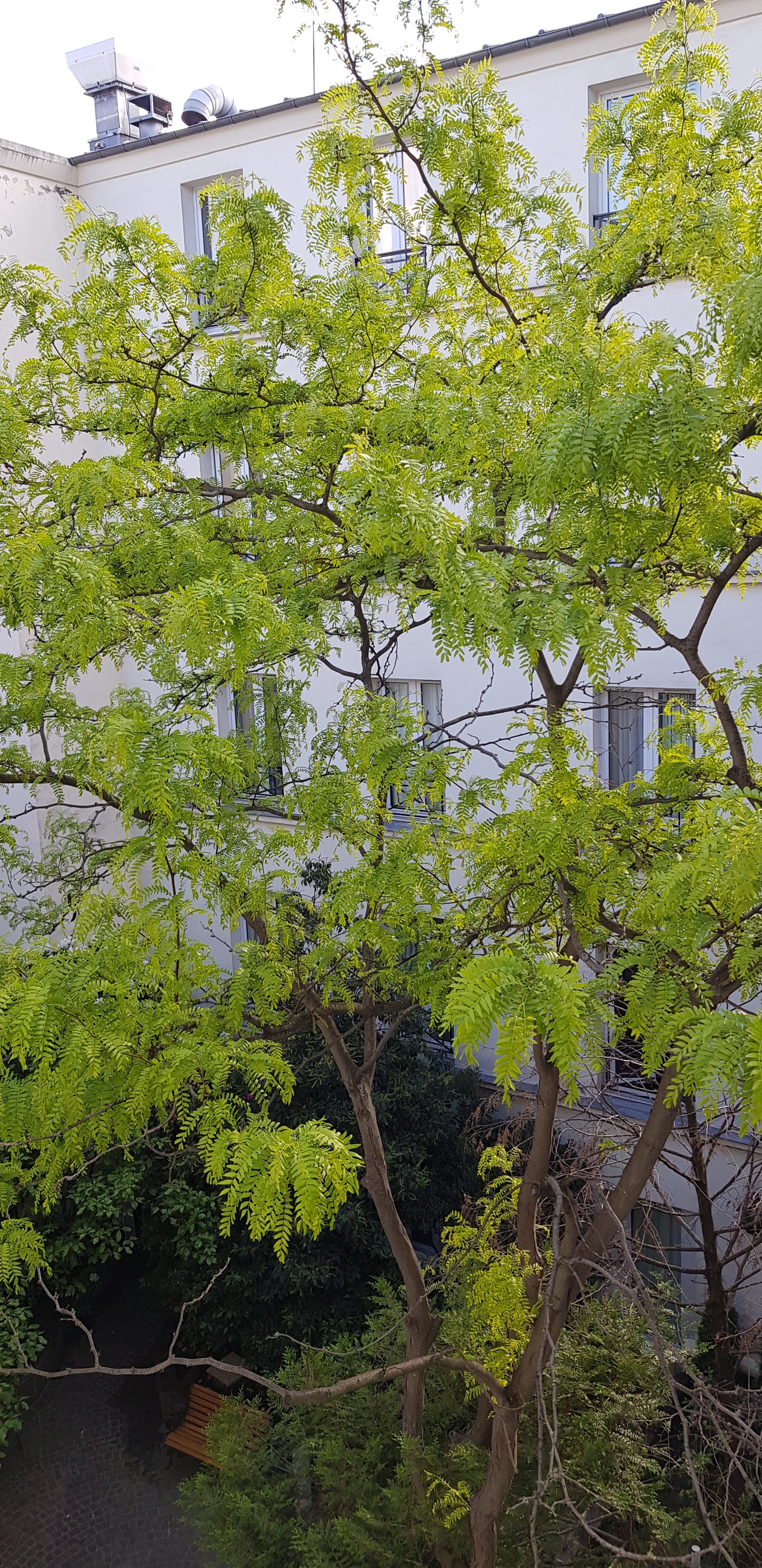 Photo n° 6 de l'avis de MarieAgnes.r fait le 23/05/2019 à 09:37