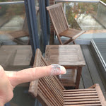 Photo n°4 de l'avis de Sven.o fait le 23/08/2023 à 13:13 sur le  Logierhaus RheintorEINS Hotel & Appartements à Rees