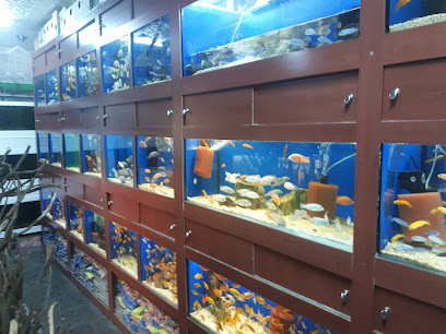 Okyanus Akvaryum Pet Store