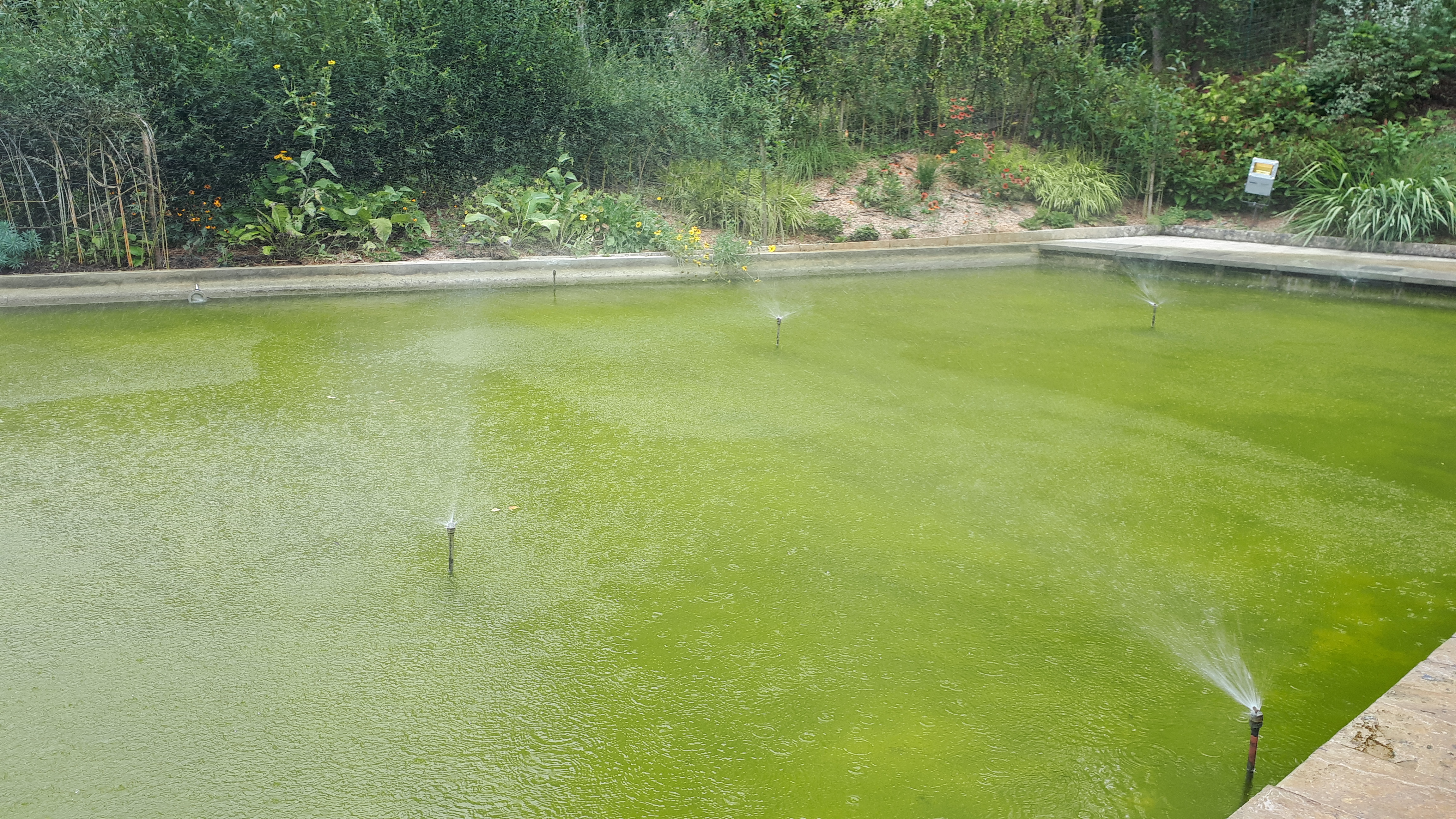 Photo n° 36 de l'avis de Cécile.i fait le 22/08/2020 à 17:28