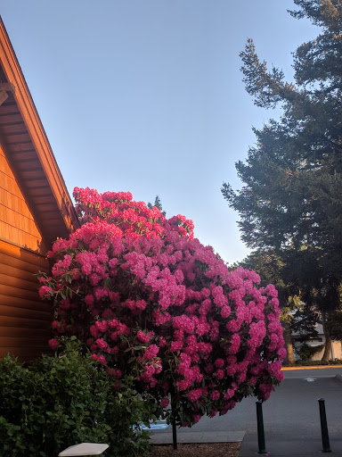 Community Center «Si View Community Center», reviews and photos, 400 SE Orchard Dr, North Bend, WA 98045, USA