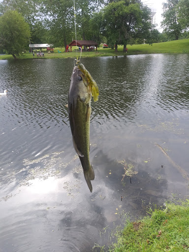 Park «Craig Park», reviews and photos, 2013 W County Rd 950 N, Brazil, IN 47834, USA