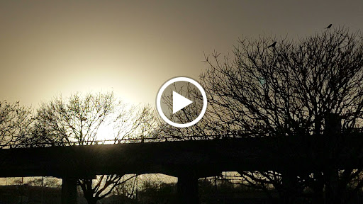 Grocery Store «Fiesta», reviews and photos, 3909 N Interstate 35 Service Rd, Austin, TX 78722, USA