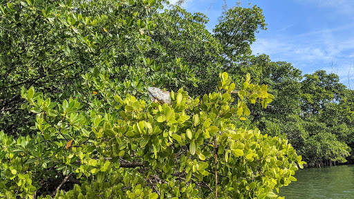 State Park «Oleta River State Park», reviews and photos, 3400 NE 163rd St, North Miami Beach, FL 33160, USA