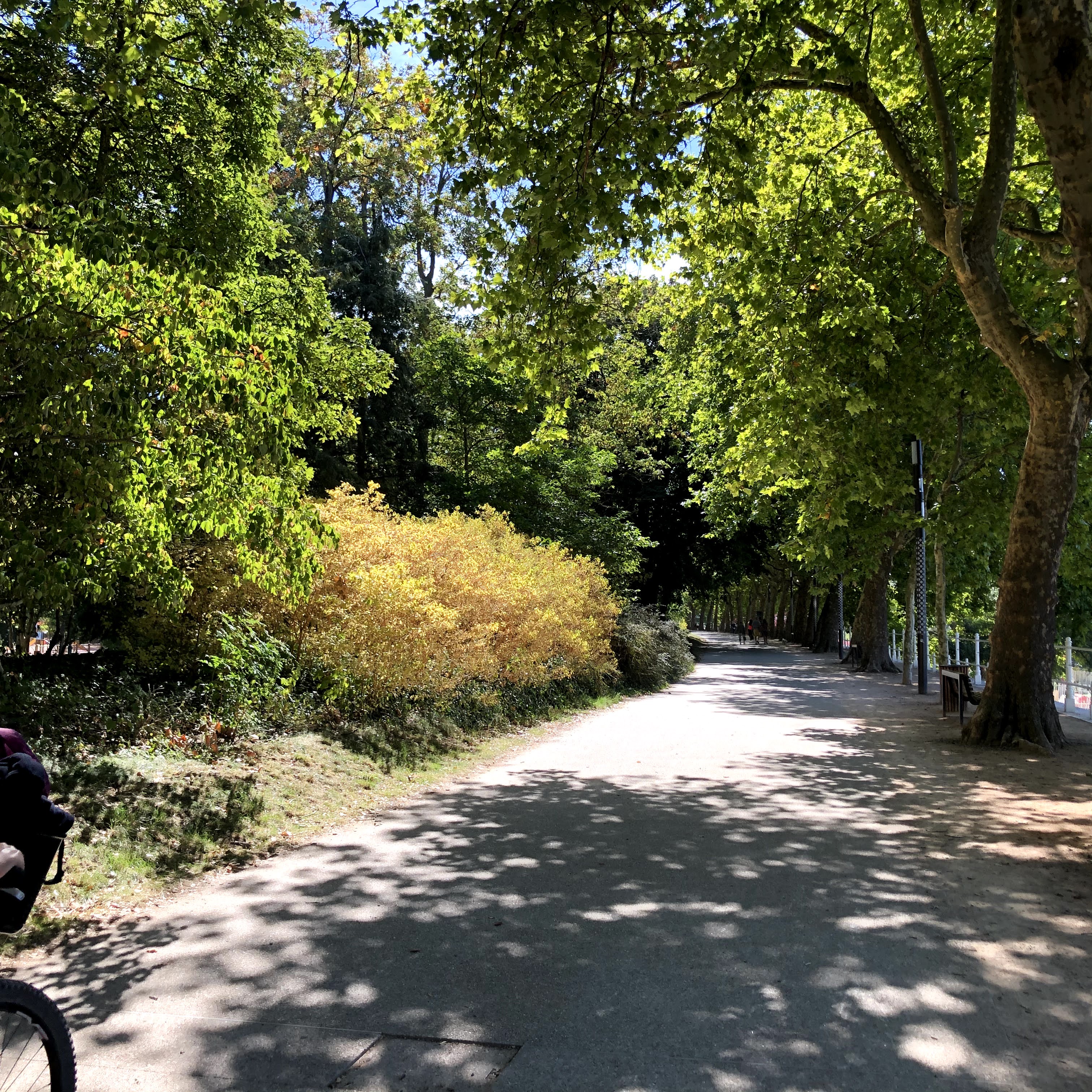 Photo n° 3 de l'avis de Zoey.H fait le 29/09/2020 à 14:36