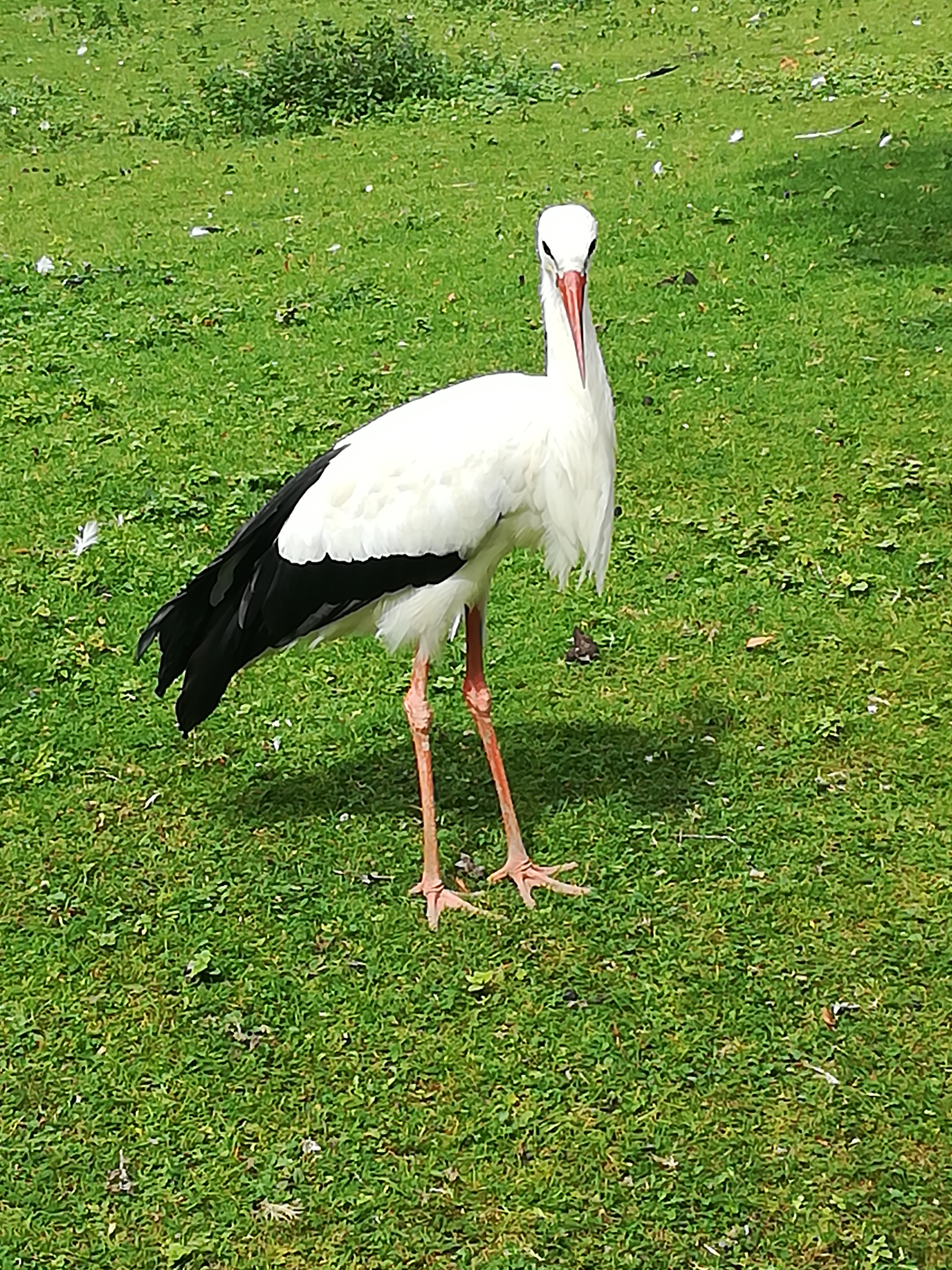 Photo n° 3 de l'avis de Christophe.A fait le 26/07/2020 à 19:03