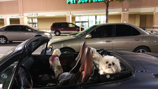 Pet Supply Store «Pet Supplies Plus», reviews and photos, 4100 Legacy Dr Suite 402, Plano, TX 75024, USA