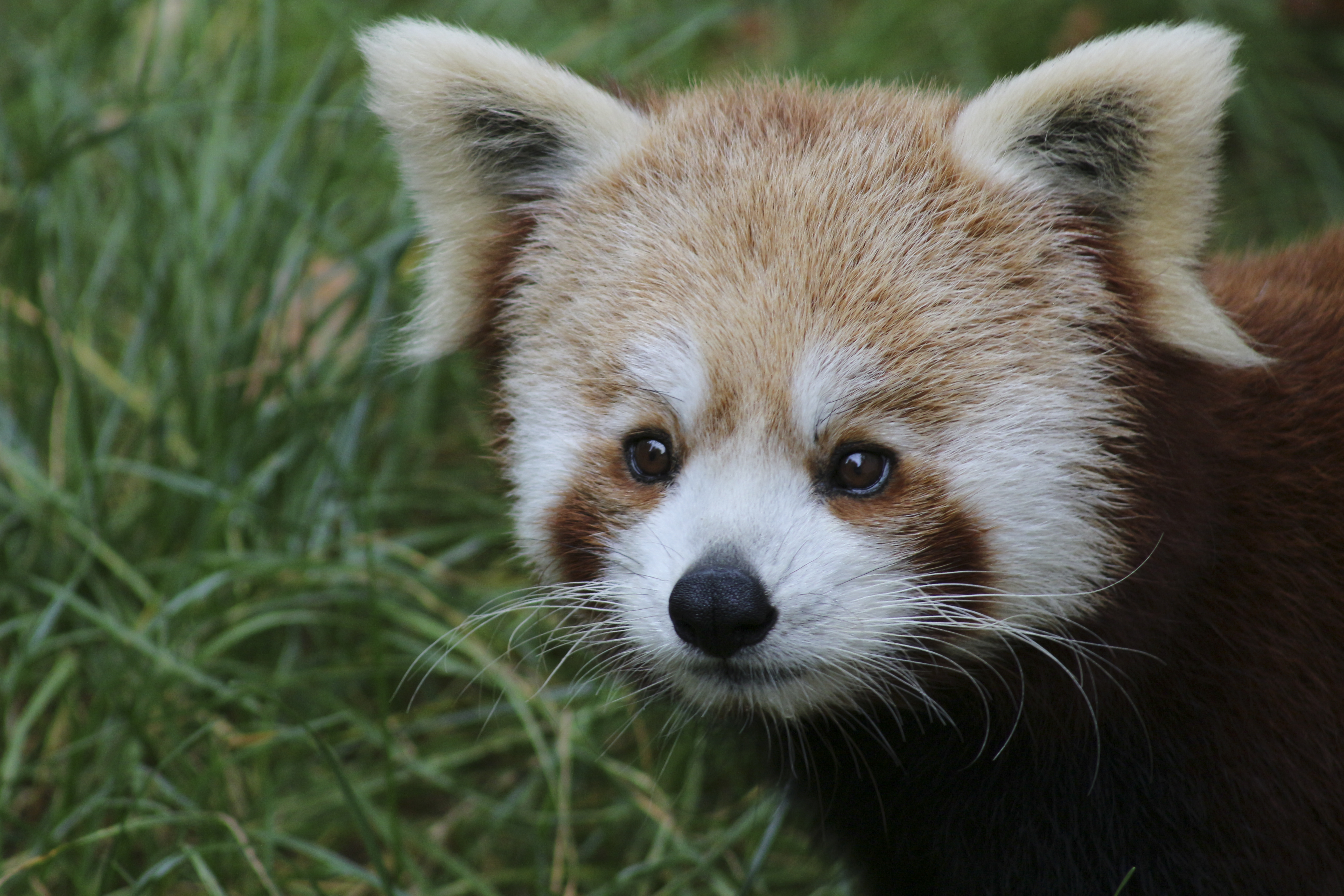 Photo n° 18 de l'avis de Laurent. fait le 05/08/2022 à 12:06