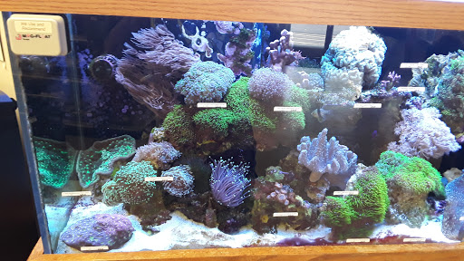 Pet Store «Pet Central», reviews and photos, 1200 Smallhouse Rd, Bowling Green, KY 42104, USA